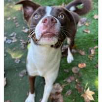 Thumbnail photo of Autumn #2