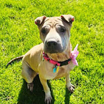 Thumbnail photo of Chloe Mei #2