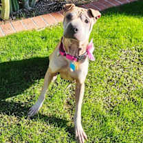 Thumbnail photo of Chloe Mei #4