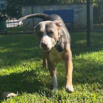 Thumbnail photo of Susie Q #4