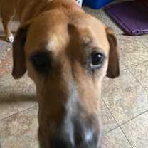 Thumbnail photo of Buddy #3