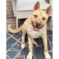 Thumbnail photo of Kiara #2