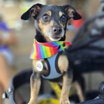 Thumbnail photo of Peggy #1