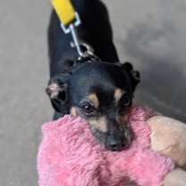 Thumbnail photo of Peggy #2