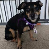 Thumbnail photo of Peggy #4