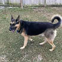 Thumbnail photo of Ben #4