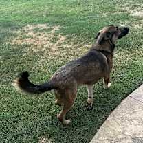 Thumbnail photo of Tron #2