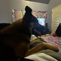 Thumbnail photo of Tron #4