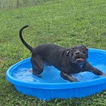 Thumbnail photo of Bronx #2