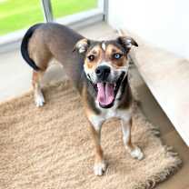 Thumbnail photo of Johnny #2