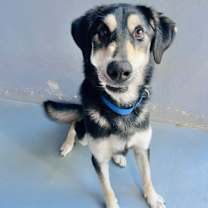 Thumbnail photo of KRATOS #1