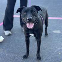 Thumbnail photo of Stormi #1