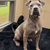 Thumbnail photo of Lord Licks #3