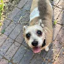 Thumbnail photo of Molly #2