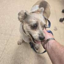 Thumbnail photo of Molly #4