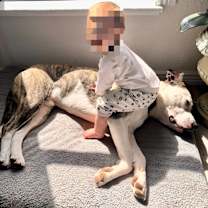 Thumbnail photo of Ollie #3