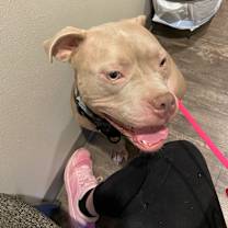 Thumbnail photo of Crystal #3