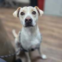 Thumbnail photo of Kenny #3