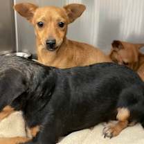 Thumbnail photo of Lydia Treetz #1