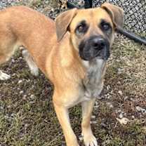 Thumbnail photo of Rita #3