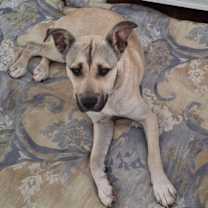 Thumbnail photo of Judd #1