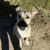 Thumbnail photo of Judd #2