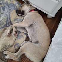 Thumbnail photo of Judd #3