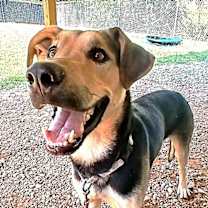 Thumbnail photo of RUSS #4