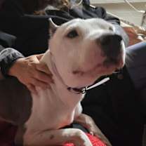 Thumbnail photo of Angel #3