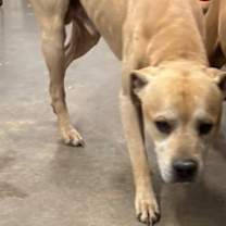 Thumbnail photo of Marvin #4