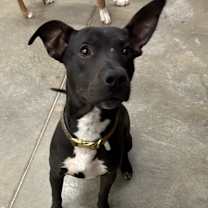 Thumbnail photo of Remi #2