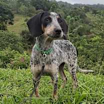 Thumbnail photo of Becky #3