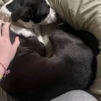 Thumbnail photo of Blue #1