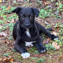 Thumbnail photo of Tip #1