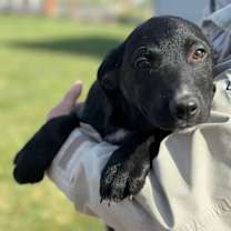 Thumbnail photo of Tip #4