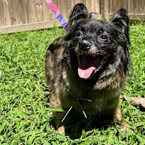 Thumbnail photo of Genevieve #4