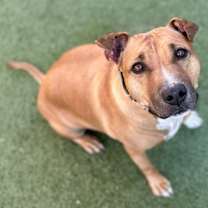 Thumbnail photo of Marley #2