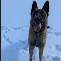 Thumbnail photo of Yara #3