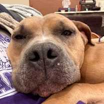 Thumbnail photo of Stromboli #3