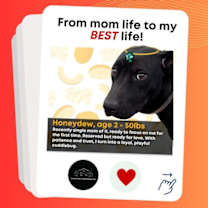 Thumbnail photo of Honeydew #2