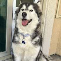 Thumbnail photo of Luna #3