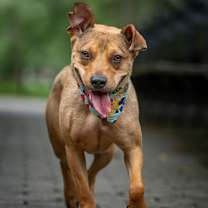 Thumbnail photo of Ion #3