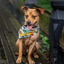 Thumbnail photo of Ion #4