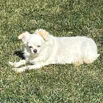 Thumbnail photo of Lady #1