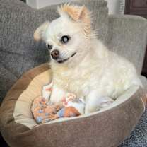 Thumbnail photo of Lady #2