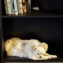 Thumbnail photo of Lady #3