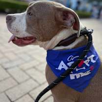 Thumbnail photo of Rubble #3