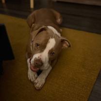 Thumbnail photo of Rubble #4