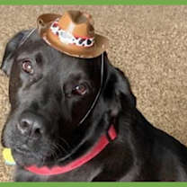 Thumbnail photo of Rick #1