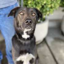 Thumbnail photo of Twix #1